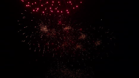 explosiones de luz y color de los fuegos artificiales que estallan en el cielo nocturno negro
