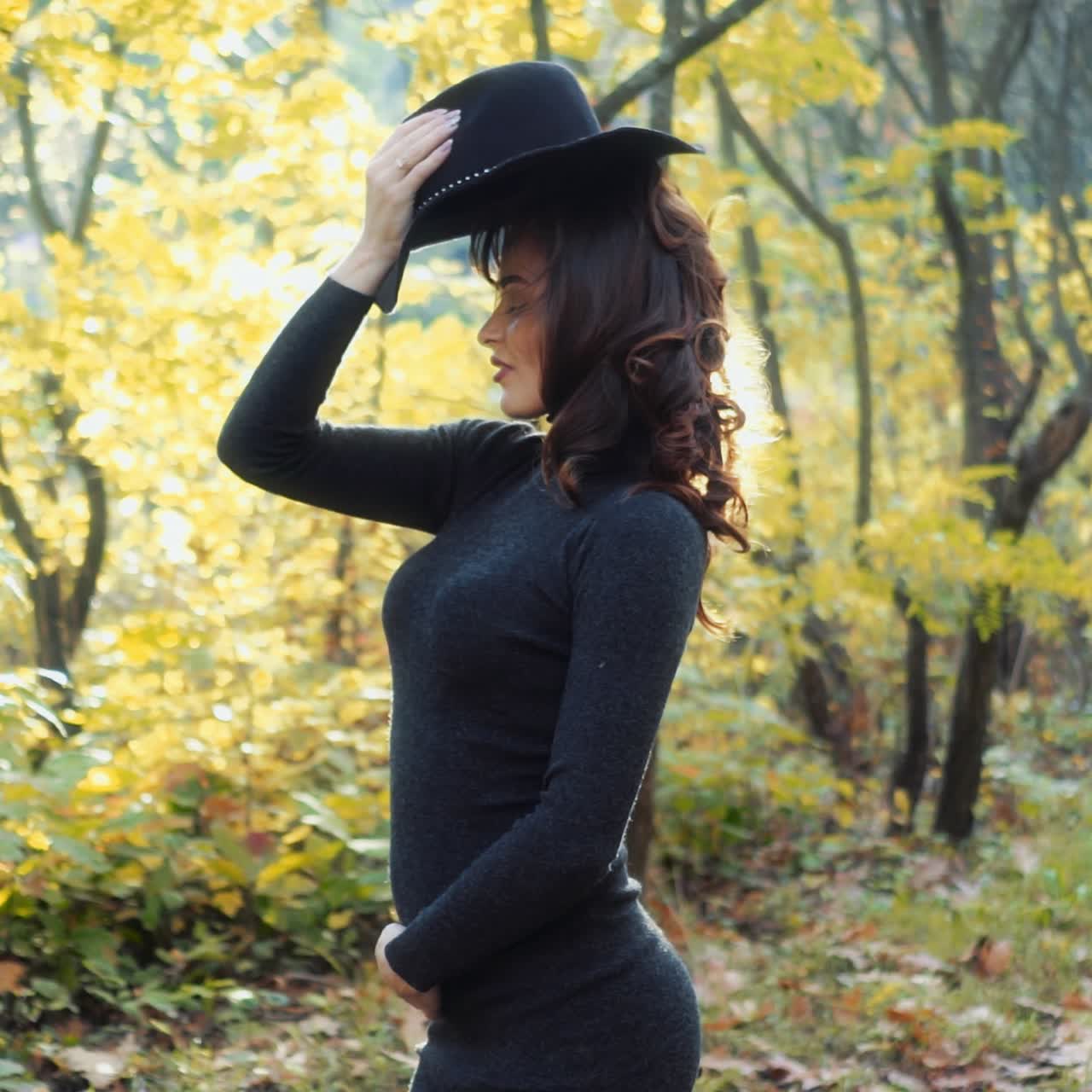 Sunny autumn day in park