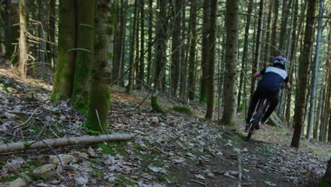 Ein-Mountainbiker-Schlägt-Einen-Ast-Hoch,-Während-Er-In-Zeitlupe-Auf-Seinem-Hinterrad-Fährt