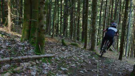 a mountain biker kicks up a branch while riding on his back wheel in slow motion
