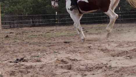 Horse-running-through-a-sandy-pasture