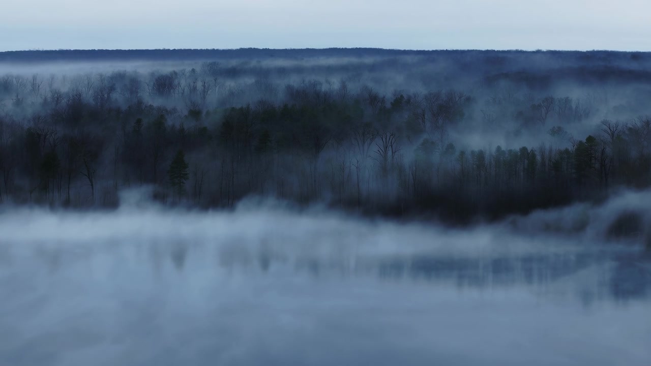 Misty Forest At Dawn With Fog, Aerial Panorama Of Endless Treeline And Lowlying Mist Drifting Over Conifer