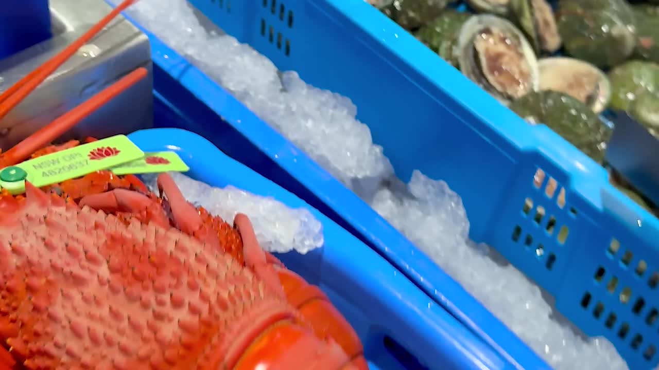 Close-up view of lobsters and crabs arranged on ice in blue trays at a seafood market.