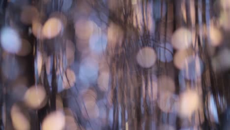Abstract Blurred Forest