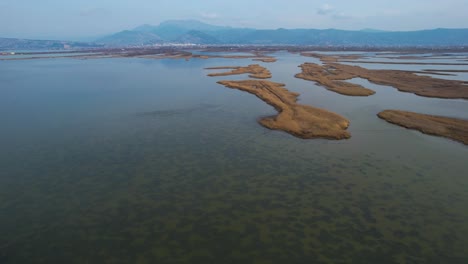 natural lagoon on cost of adriatic sea in albania, beautiful waterbed with herbs texture under water