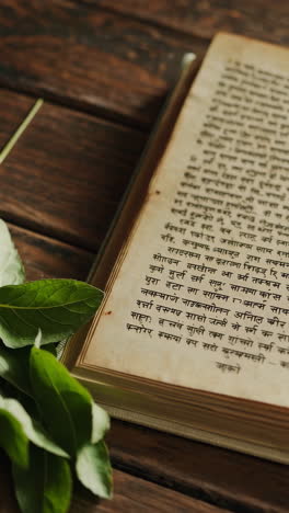 open ancient book with herbal leaves on wooden table