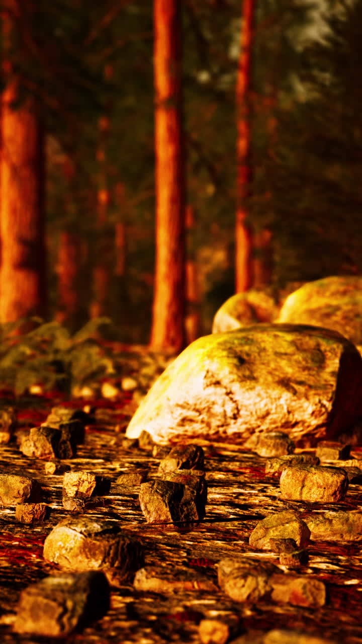 숲길에 있는 황금빛