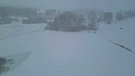 Heavy-snowfall-over-agriculture-fields-of-Eastern-Europe,-aerial-drone-view