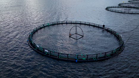 norwegian salmon farm with circular sea cages, fish jumping on water, norway