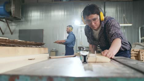 woodworker cutting plywood in workshop