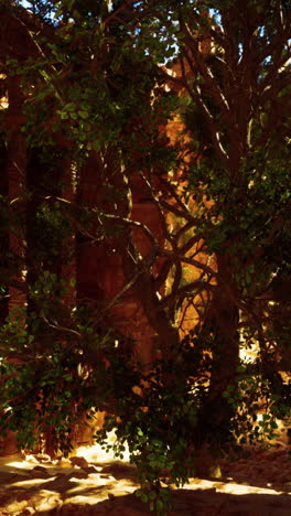 antiguas ruinas cubiertas de vegetación exuberante