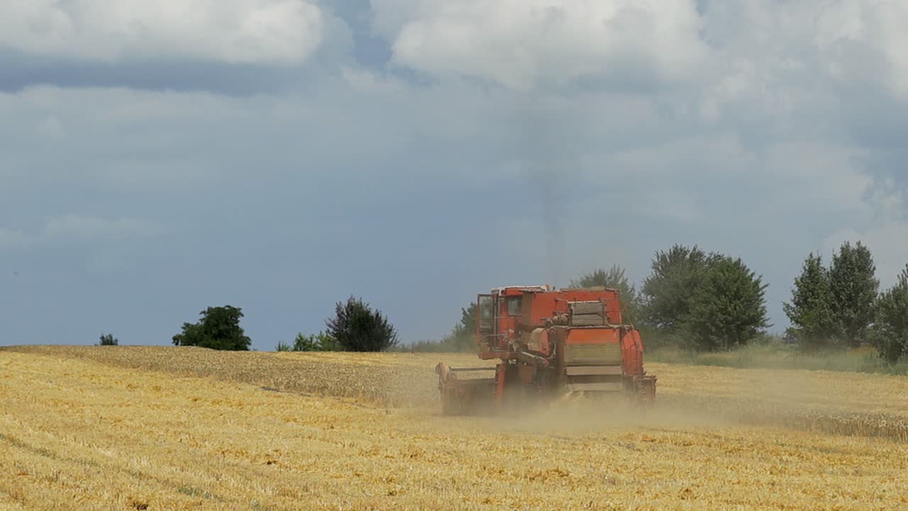 Combine harvester working on the wheat field. Wheat Harvesting.