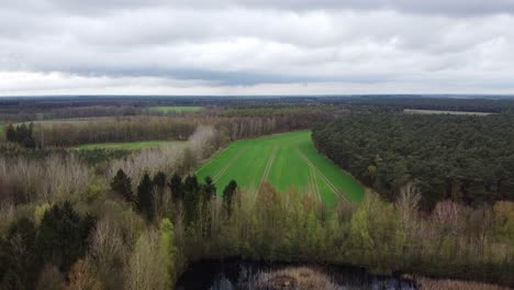 inclinación aérea sobre un paisaje pintoresco cerca de la frontera holandesa con vista a un estanque y campos agrícolas en bélgica