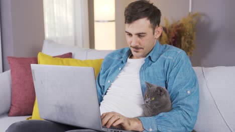 british cat looking at man working on laptop.