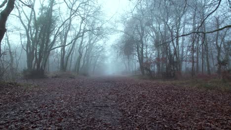 Fliegen-über-Den-Mit-Getrockneten-Blättern-Bedeckten-Weg-Durch-Den-Nebligen-Wald