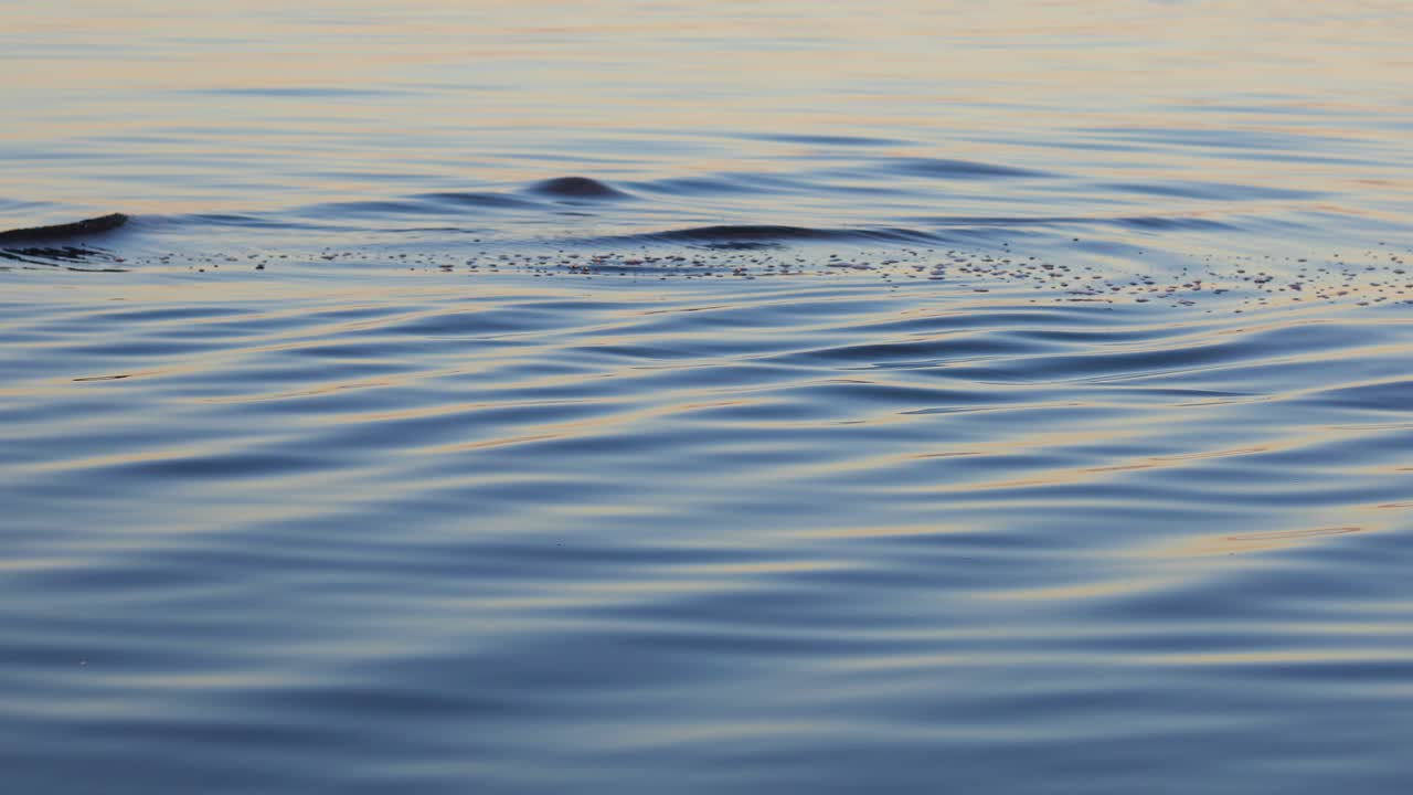 선 개념 - 수면의 잔잔한 잔물결