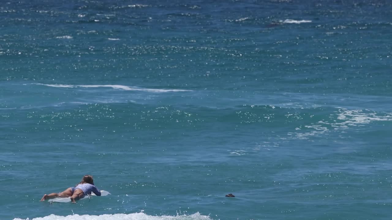 서퍼가 파도를 잡고 타는 장면