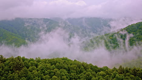 dreamy drone sweep across fog-covered smoky mountains
