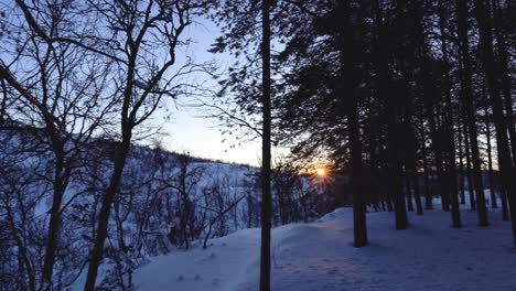 Schwenkaufnahme-Eines-Sonnenaufgangs-Sonnenuntergangs,-Gesehen-Von-Einem-Verschneiten-Fichtenwald