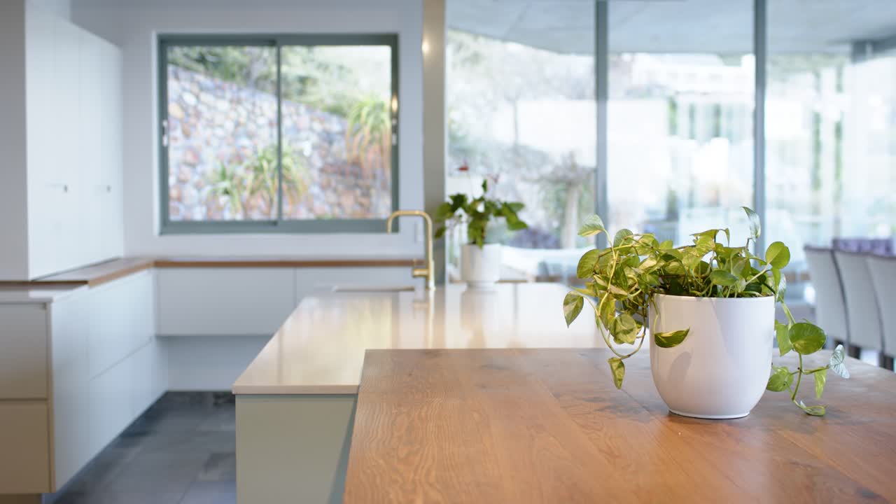 Camera is remaining fixed on potted plant on countertop in kitchen highlighting kitchen design