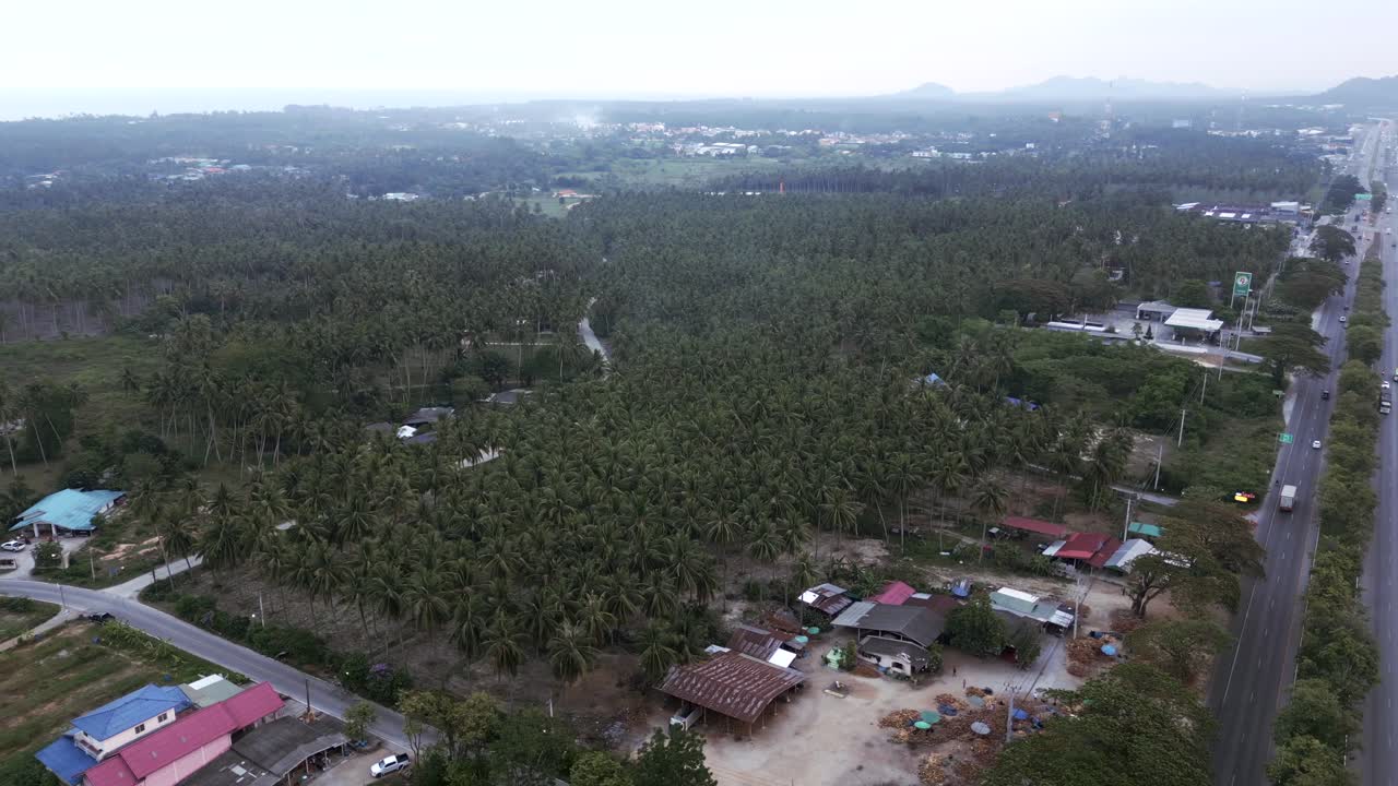 Aerial View of a Vast Tropical Palm Plantation and Rural Landscape with Highway