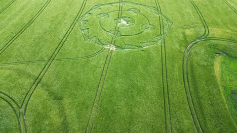 aerial view geometric crop circle birdseye over lush grassy wiltshire meadow blowing in the breeze