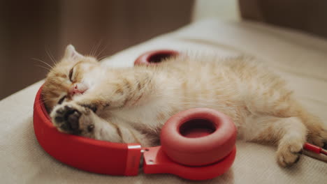 Lindo-Gatito-Jengibre-Descansando-Acostado-En-Auriculares---Amante-De-La-Música-Mascota