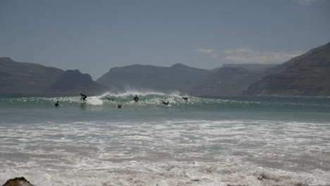 cámara lenta de surfistas a lo largo de la costa de sudáfrica