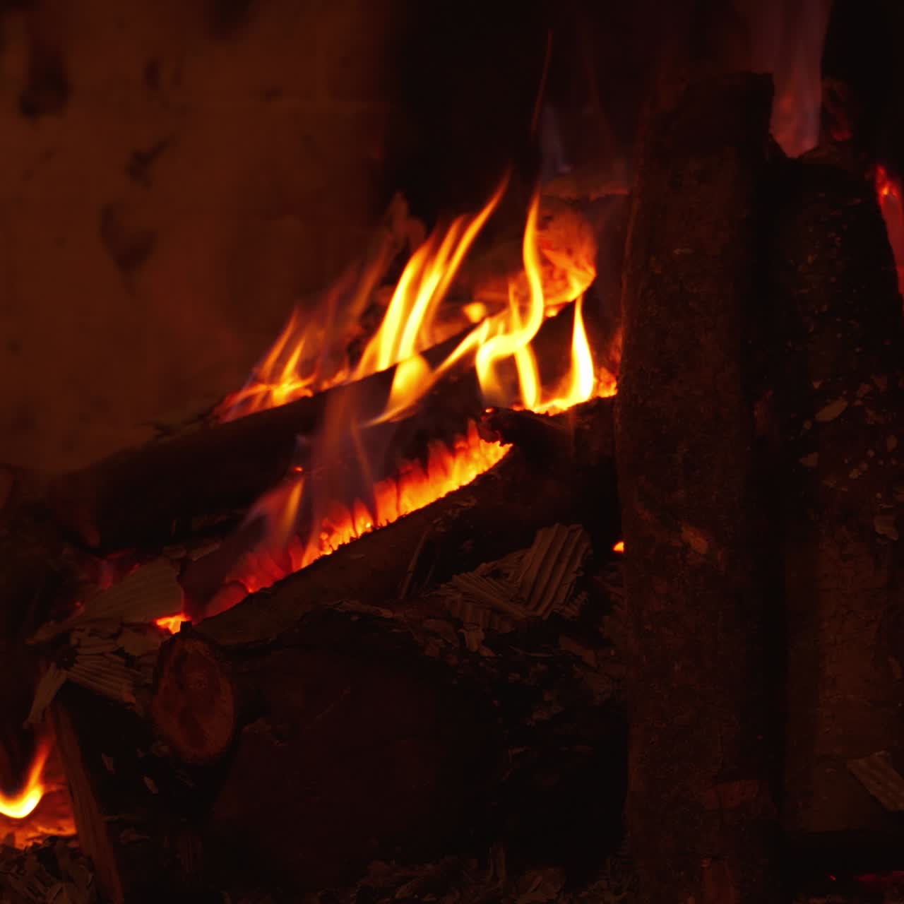 Flames of bonfire. Beautiful red forks of flame. Burnt wood. Power of fire. Video