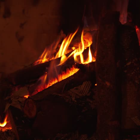flames of bonfire. beautiful red forks of flame. burnt wood. power of fire. video