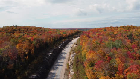 dron volando sobre la carretera del corredor de la autopista 60 a través del parque provincial de algonquin durante la temporada de otoño y revelando el vasto paisaje