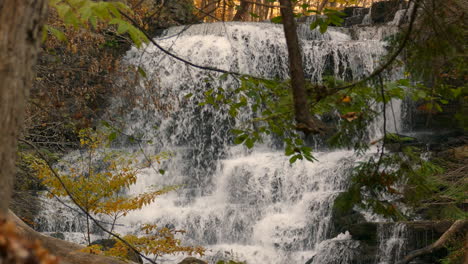 Waterfall-in-the-middle-of-a-forest-surrounded-by-autumn-leaves