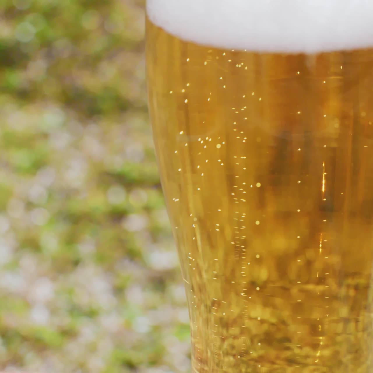 refrescante cerveza helada o lager