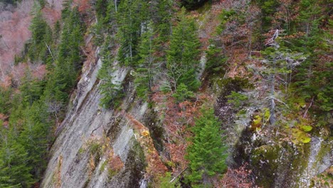 The-granite-rocks-covered-with-pine-trees-in-the-wild-Canadian-nature