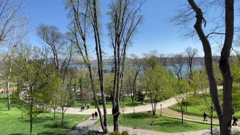 el festival de los tulipanes de estambul.