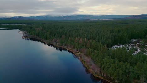 Aerial-circular-footage-of-wood-around-lake