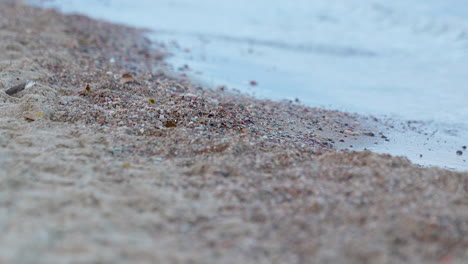 Close-up-of-a-serene-beach-shoreline,-showcasing-textured-sand-and-pebbles-kissed-by-gentle-waves