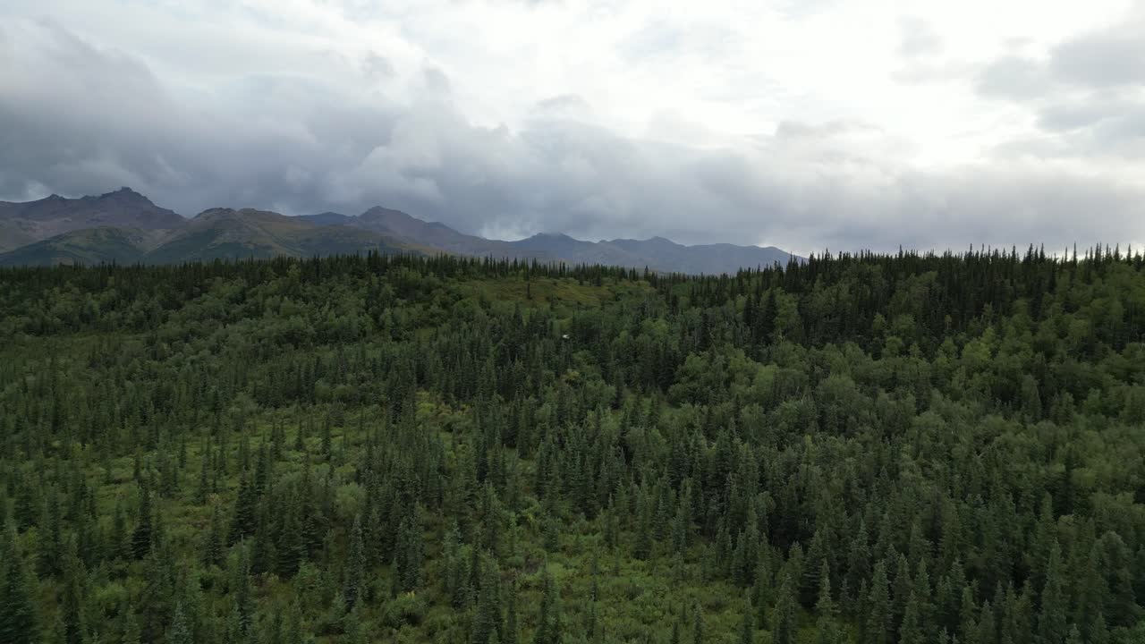 hermoso paisaje del desierto en alaska