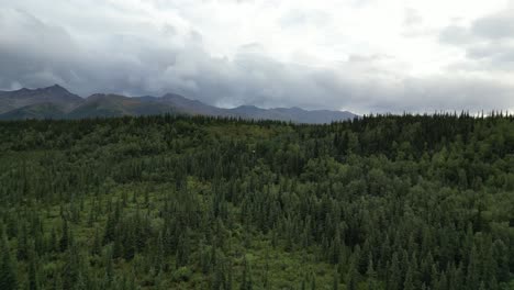 beautiful landscape of wilderness in alaska