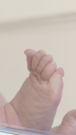 close-up of a hand and foot