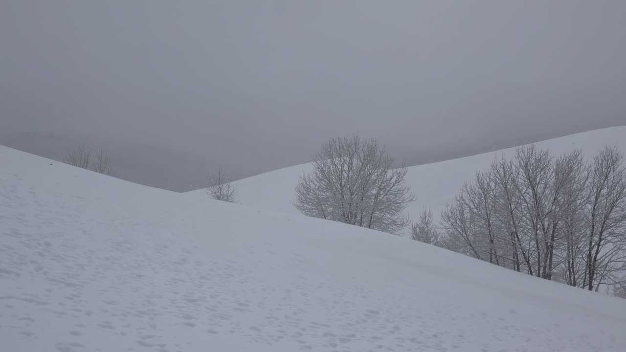 A serene winter landscape video with snow-covered hills and bare trees
