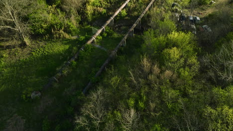 A-junkyard-in-fayetteville,-arkansas-with-cars-and-greenery,-aerial-view