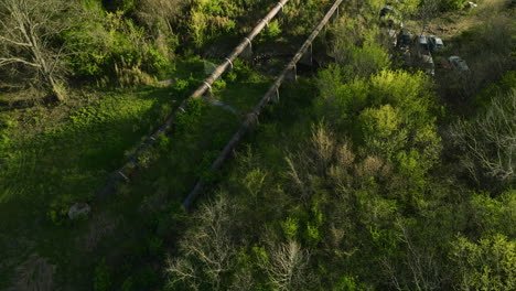 a junkyard in fayetteville, arkansas with cars and greenery, aerial view