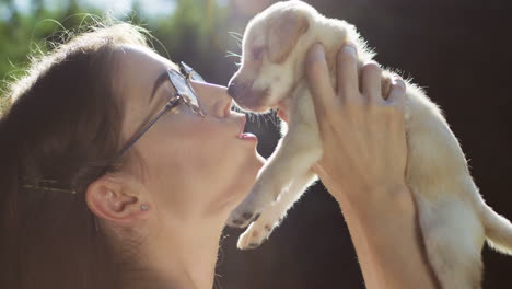 close-up view of caucasian young woman in glasses holding a labrador puppy in the park on a summer day