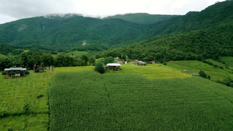 4K-Cinematic-nature-aerial-drone-footage-of-the-beautiful-mountains-and-rice-terraces-of-Ban-Pa-Pong-Piang-at-Doi-Ithanon-next-to-Chiang-Mai,-Thailand-on-a-cloudy-sunny-day