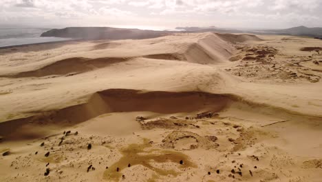 Massive-sand-dunes-on-Ninety-Mile-Beach,-New-Zealand-aerial-tilt-up