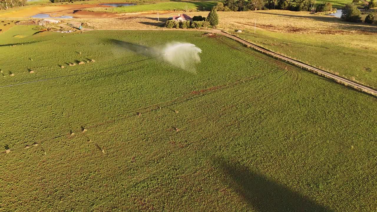 해가 지면 을 관개하는 스프링클러