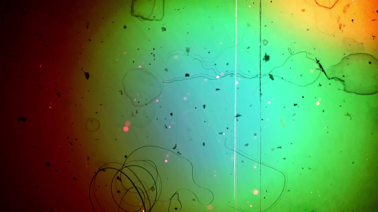 Colorful Vintage Film Grain and Light Leak Overlay