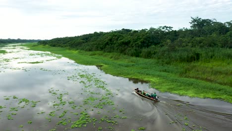 boat on exotic amazon river in lush peru rainforest jungle - aerial