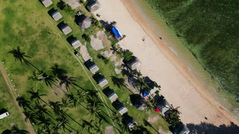 scenic aerial top-down flyover of tropical island bagasbas beach resort with nipa huts, palm trees and white sand shoreline - catanduanes, philippines